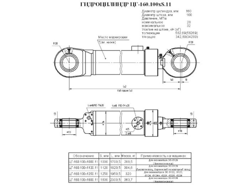 ЦГ-160.100х1000.11