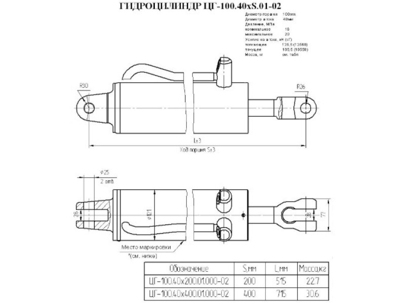 ЦГ-100.40х400.01.000-02