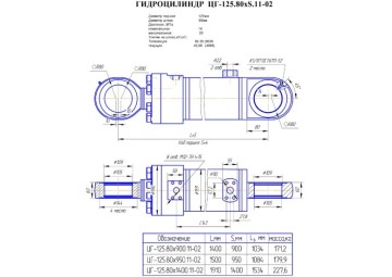 ЦГ-125.80х900.11-02