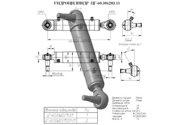 ЦГ-60.30х203.11.001-01