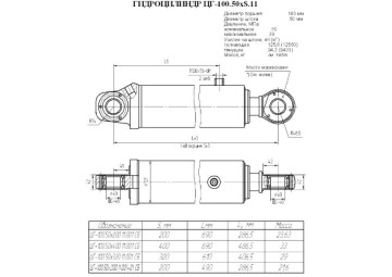 ЦГ-100.50х200.11.001СБ