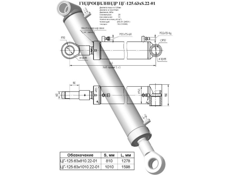 ЦГ-125.63х810.22-01