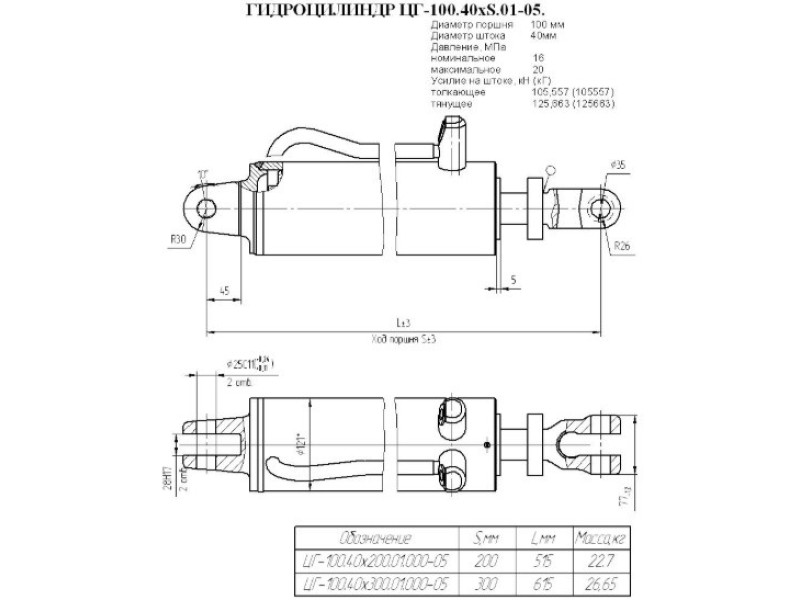 ЦГ-100.40х300.01.000-05