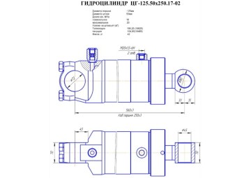 ЦГ-125.50х250.17-02