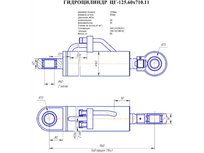 ЦГ-125.60х710.11