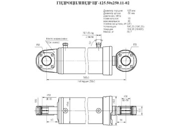 ЦГ-125.50х250.11-02