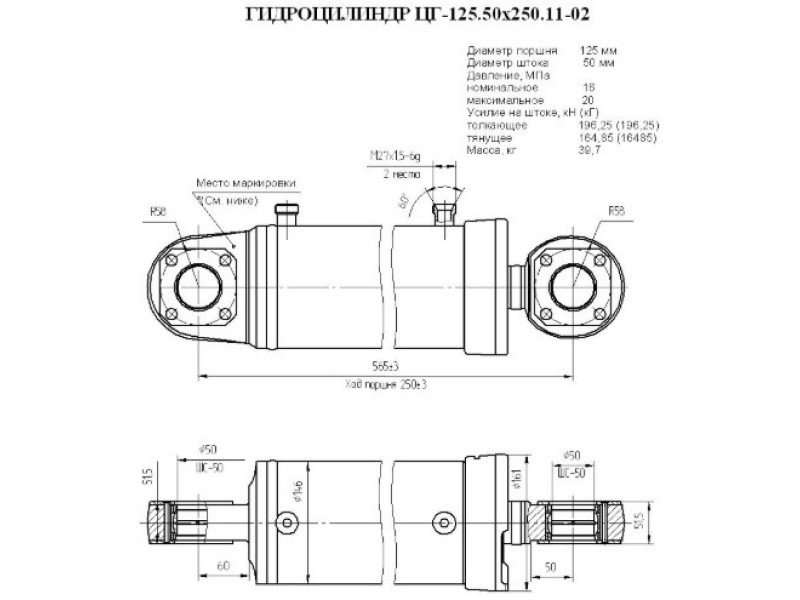 ЦГ-125.50х250.11-02