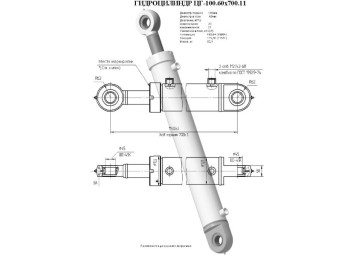 ЦГ-100.60х700.11