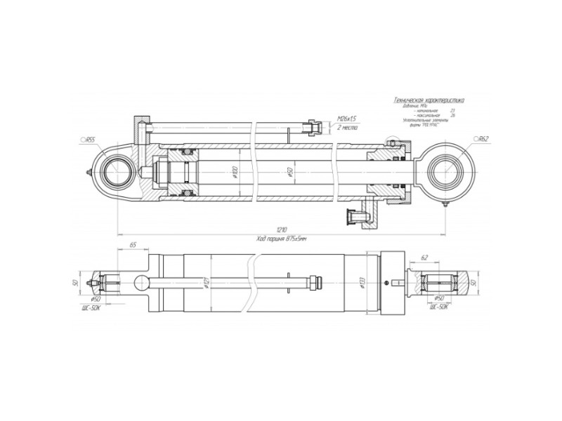ЦГ-100.50х875.11