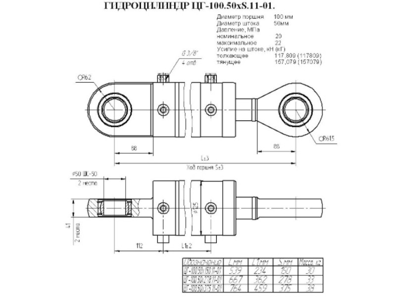 ЦГ-100.50х278.11-01