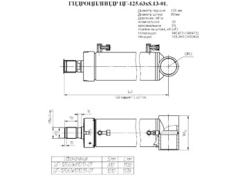 ЦГ-125.63х1010.13-01