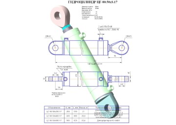 ЦГ-80.50х560.17